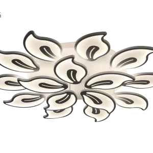 Ceiling Lamp