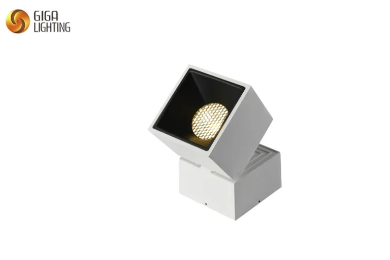 Ceiling Lamp