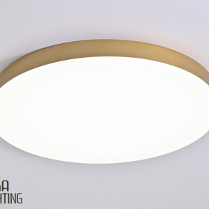 IP40 LED Dimmable Ceiling Light Ultra-thin Round Lamp Balcony Bedroom Light Aisle Corridor Light